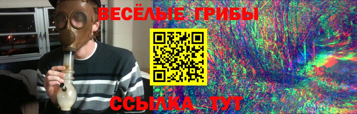 Псилоцибиновые грибы Psilocybine cubensis Салехард